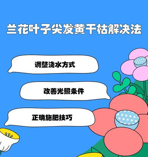 水培植物叶子尖发黄干枯怎么解决？