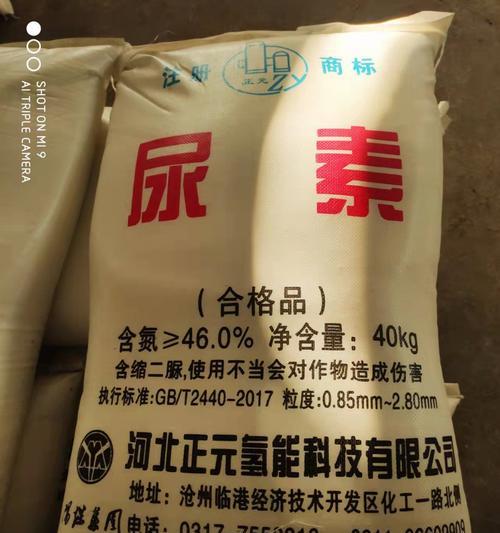 如何在家自制液氮肥料？有哪些步骤和注意事项？