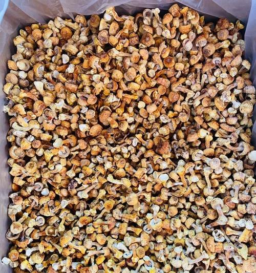 自制松茸鲜花肥料的方法是什么？