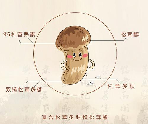 自制松茸鲜花肥料的方法是什么？