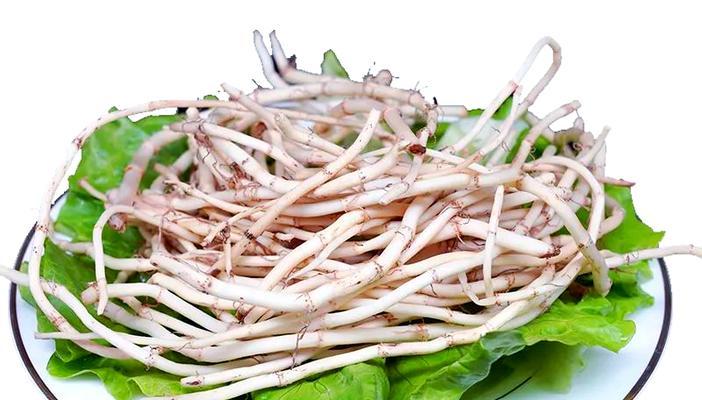 鱼腥草冬季种植的施肥方法是什么？