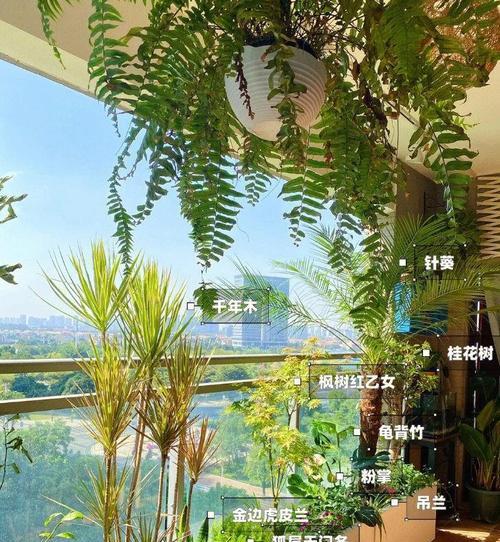 水塘种植水生植物的选择标准是什么？如何维护？