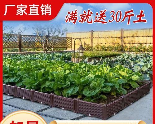 水塘种植水生植物的选择标准是什么？如何维护？