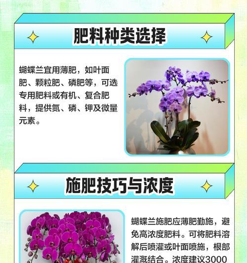 兰花冬季施肥技巧是什么？如何正确施肥？