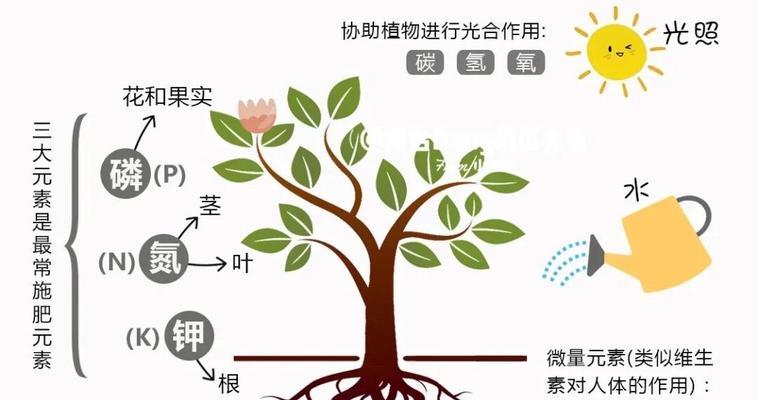 意大利施肥的正确方法是什么？