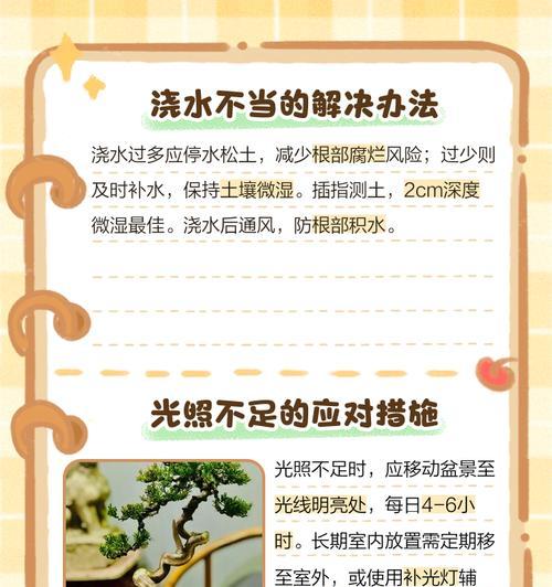 肥料过量导致叶子发黄的解决措施是什么？