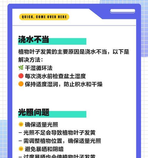 肥料过量导致叶子发黄的解决措施是什么？
