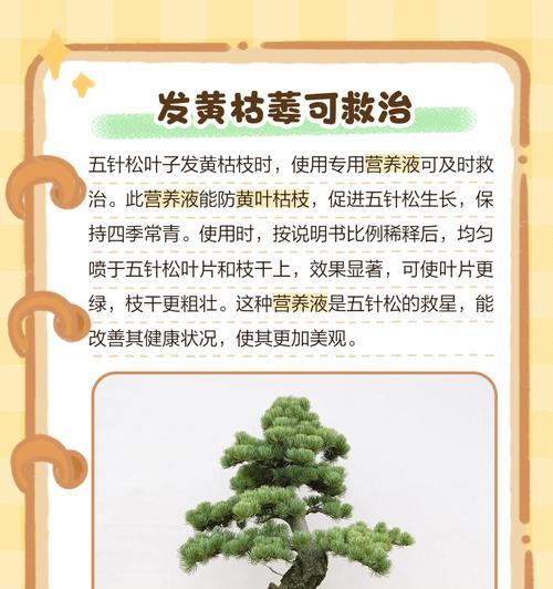 水杉树叶子枯萎发黄怎么办？如何进行有效的防治？