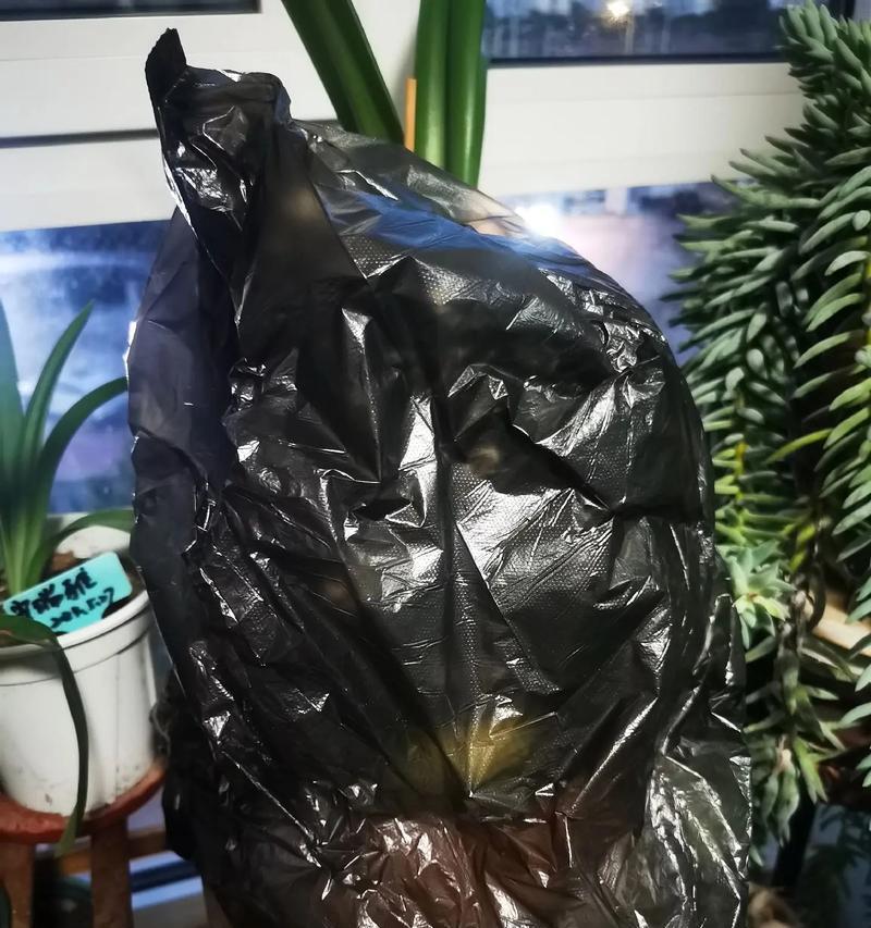 朱顶红坐地炮外观？一睹其风采！