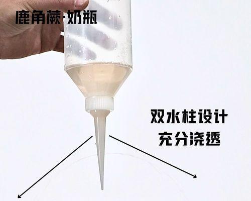 柱子浇水的正确步骤和注意事项是什么？