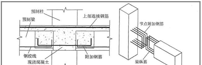 柱子浇水的正确步骤和注意事项是什么？