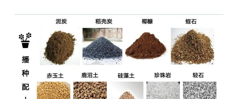 扦插播种时哪种土壤最好？选择土壤的技巧是什么？