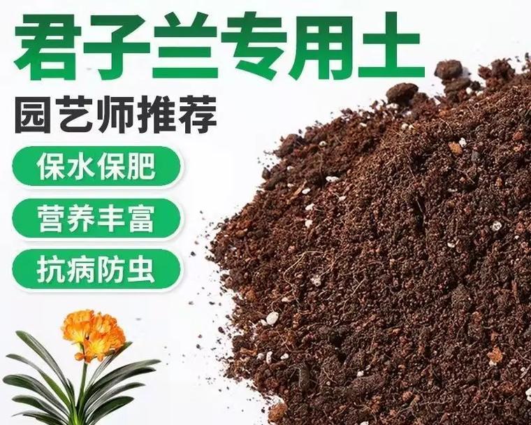 君子兰用田土种会怎么样？对君子兰生长的影响？