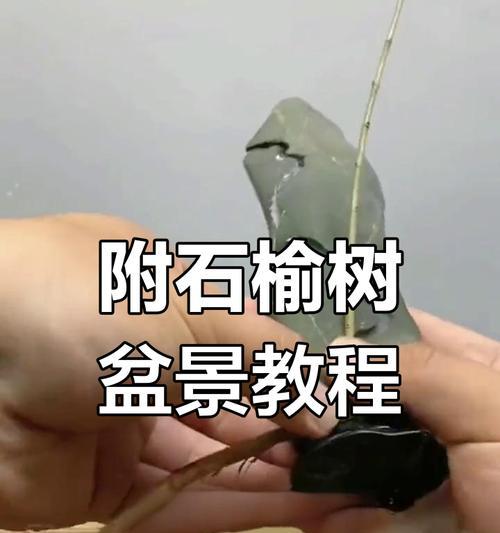 符石盆景树枝弯曲的技巧是什么？