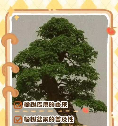 符石盆景树枝弯曲的技巧是什么？