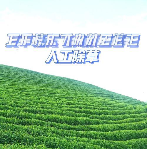 栽培技术中平衡的方法包括哪些？