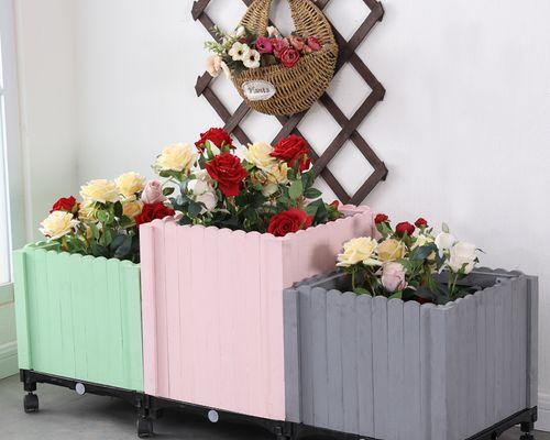乌兰花叶子发黄的原因是什么？