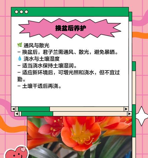 长叶君子兰倒盆的正确步骤是什么？