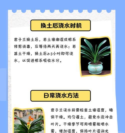 无虫君子兰土壤的选择与处理？