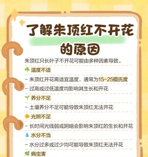 朱顶红只长根不发芽是什么原因？