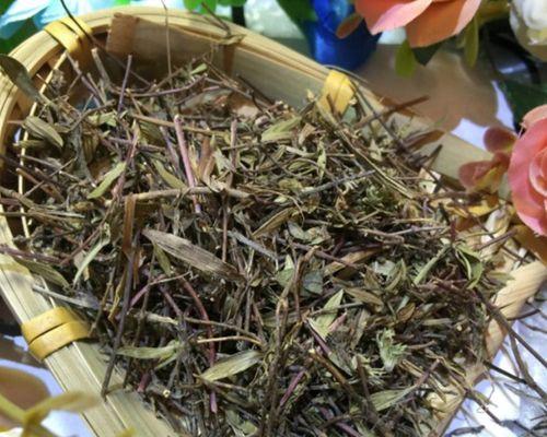 云南有哪些常见的香草调料植物？
