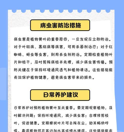 绿乌蕨干叶子发黄怎么办？绿乌蕨叶子发黄的处理方法有哪些？