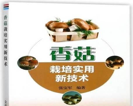 夏摘香菇栽培技术要点有哪些？夏季香菇栽培的注意事项是什么？