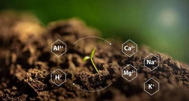 自制松糕种植土壤肥料的方法是什么？这种肥料有何特点？