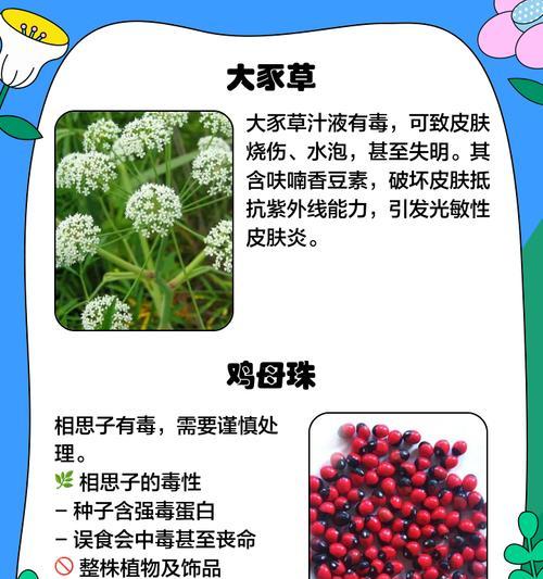 水生植物有毒的有哪些植物？如何识别和处理有毒水生植物？