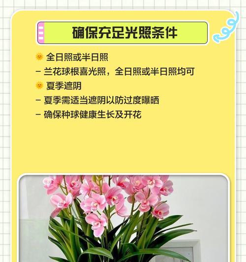 玻璃球根植物的养殖方法是什么？