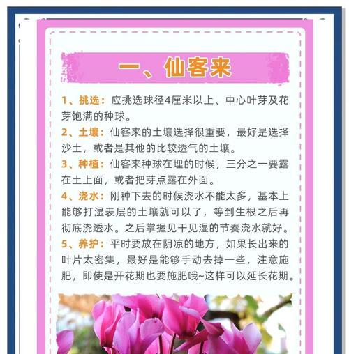 玻璃球根植物的养殖方法是什么？