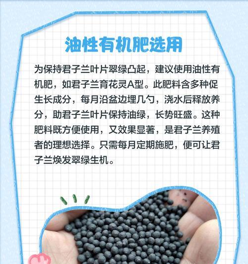 君子兰自制水肥料的步骤是什么？有哪些好处？