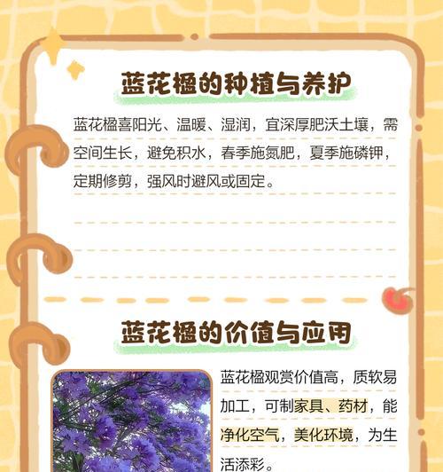 蓝盈花如何正确浇水？
