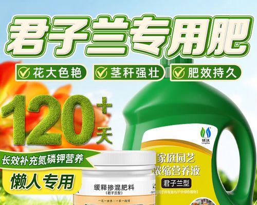 君子兰壮根的方法有哪些？