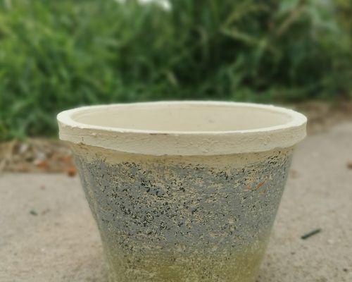 君子兰铺青苔土壤的正确方法是什么？