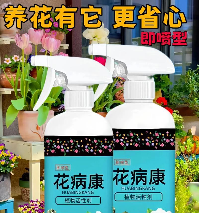 三角梅发白色霉菌怎么办？如何有效防治三角梅霉菌？