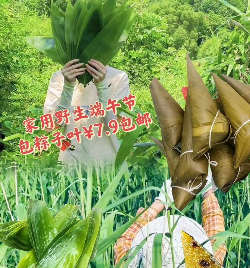 煮粽子时如何防止叶子发黄？