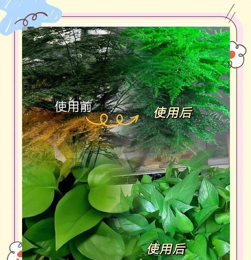 硫酸亚铁喷后叶子发黄的处理方法是什么？