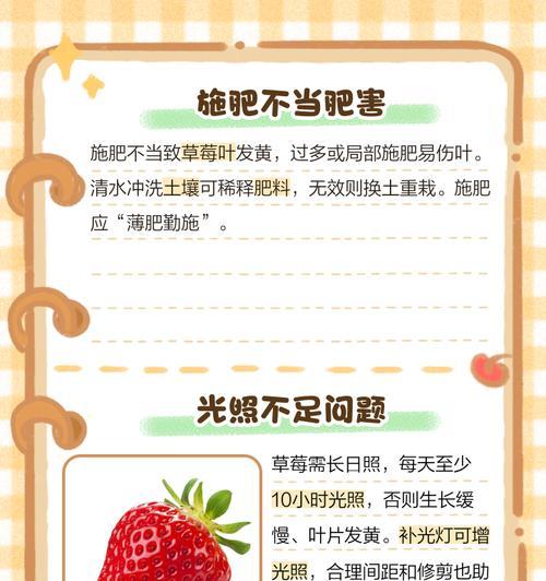 草莓叶子发黄如何处理？有哪些解决办法？