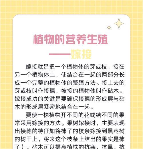 榕树嫁接栽培的关键技术要点是什么？