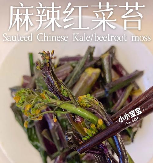 自制菜苔肥料的完整配方是什么？
