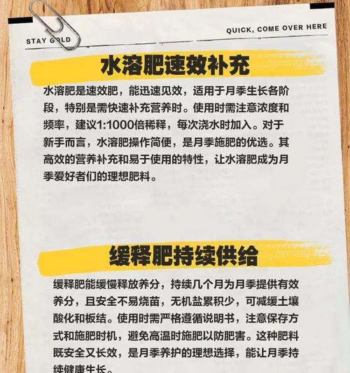 养护月季花时施肥有哪些小技巧？怎样施肥更科学？