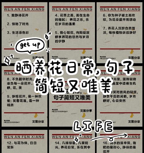 日常养花有哪些实用技巧？