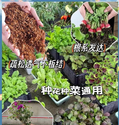 自制粗椰糠壳肥料的正确步骤是什么？