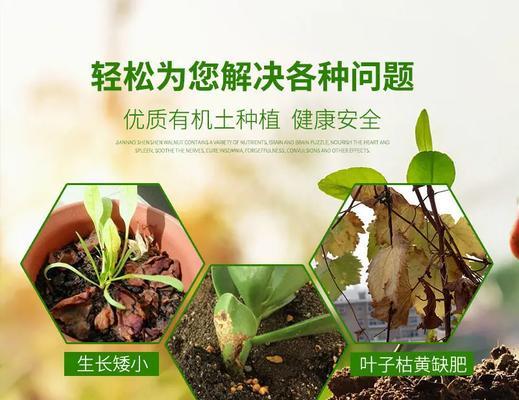 小球根植物配土比例怎么算？如何保证其生长健康？