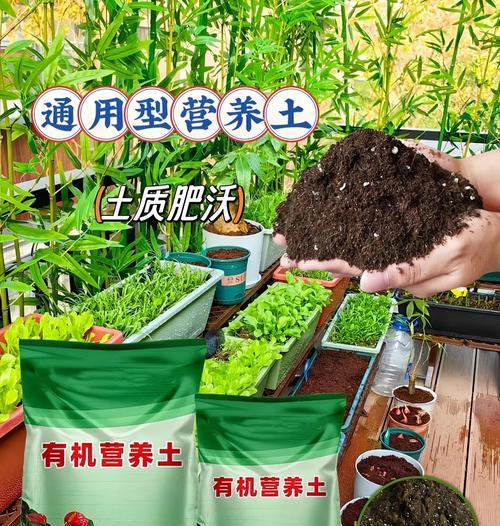 小球根植物配土比例怎么算？如何保证其生长健康？