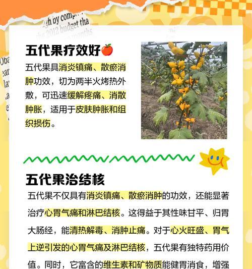 五代同堂果栽培技术是什么？如何进行有效管理？