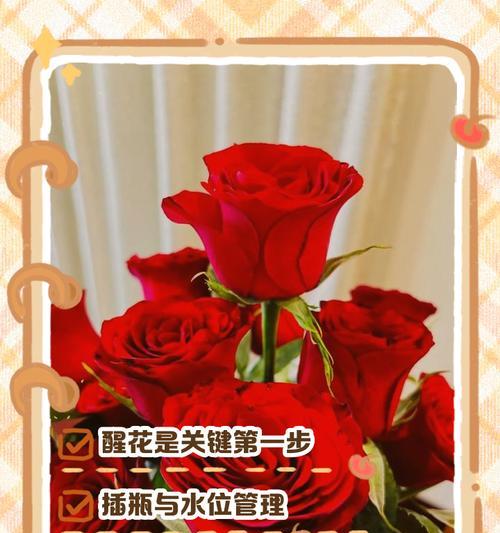 花种子浇水的正确方法有哪些？