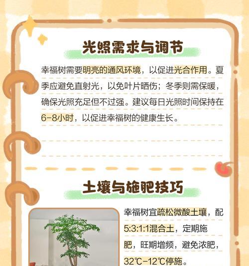 小橘子树叶子发黄掉落的处理方法？