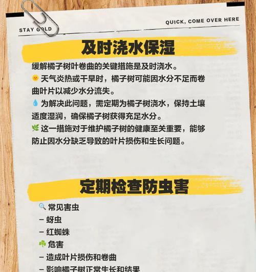 小橘子树叶子发黄掉落的处理方法？
